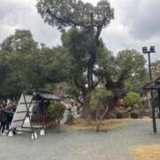 ヒメ日記 2026/01/14 09:35 投稿 さとみ某有名店出身 ラヴァーズ