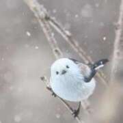 ヒメ日記 2026/01/27 13:41 投稿 さとみ某有名店出身 ラヴァーズ