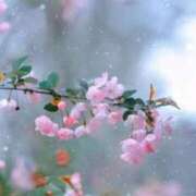 ヒメ日記 2026/02/24 14:27 投稿 さとみ某有名店出身 ラヴァーズ