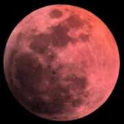 ヒメ日記 2026/03/03 09:28 投稿 さとみ某有名店出身 ラヴァーズ