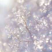 ヒメ日記 2026/03/04 08:46 投稿 さとみ某有名店出身 ラヴァーズ