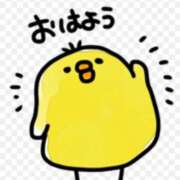 ヒメ日記 2026/05/12 09:25 投稿 さとみ某有名店出身 ラヴァーズ
