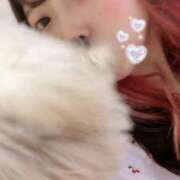 ヒメ日記 2025/08/07 23:37 投稿 りり 恋色ぱれっと 北大阪店