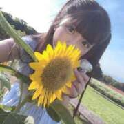 ヒメ日記 2025/08/24 10:57 投稿 りり 恋色ぱれっと 北大阪店