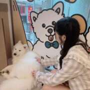 ヒメ日記 2025/11/18 12:47 投稿 りり 恋色ぱれっと 北大阪店