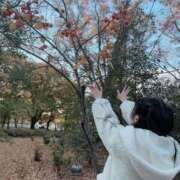 ヒメ日記 2025/12/21 15:47 投稿 りり 恋色ぱれっと 北大阪店