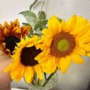 ヒメ日記 2025/07/13 15:56 投稿 なな 恋色ぱれっと 北大阪店