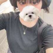 ヒメ日記 2025/08/14 12:09 投稿 みつり ウルトラドリーム