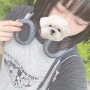 ヒメ日記 2025/08/28 12:11 投稿 みつり ウルトラドリーム