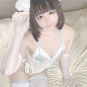 ヒメ日記 2025/09/28 08:19 投稿 みつり ウルトラドリーム