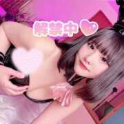 ヒメ日記 2025/10/31 13:20 投稿 みつり ウルトラドリーム