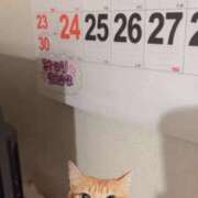 ヒメ日記 2025/11/06 17:32 投稿 みつり ウルトラドリーム