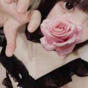 ヒメ日記 2025/11/19 20:29 投稿 みつり ウルトラドリーム