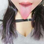 ヒメ日記 2025/09/22 00:15 投稿 ゆき 西東京市小平ちゃんこ