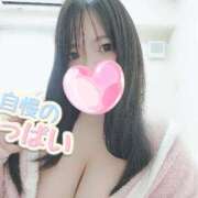 ヒメ日記 2025/09/24 14:28 投稿 ゆき 西東京市小平ちゃんこ