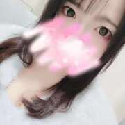 ヒメ日記 2025/12/13 13:09 投稿 ゆき 西東京市小平ちゃんこ