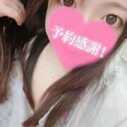 ヒメ日記 2026/04/08 13:05 投稿 ゆき 西東京市小平ちゃんこ