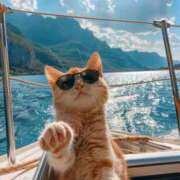 ヒメ日記 2025/08/24 22:06 投稿 小山内みう 五反田マーマレード(ユメオト)