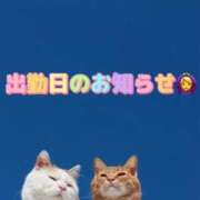 ヒメ日記 2025/09/15 19:15 投稿 小山内みう 五反田マーマレード(ユメオト)