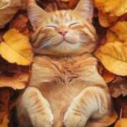 小山内みう 来週の出勤日のお知らせです📢✨ 五反田マーマレード(ユメオト)