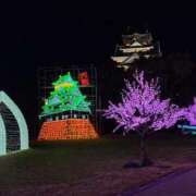 ヒメ日記 2026/01/09 15:21 投稿 観月 麻里奈 マダム麗奈大阪