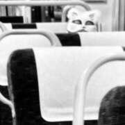 ヒメ日記 2025/08/04 00:01 投稿 ゆう ぷるるん小町日本橋店