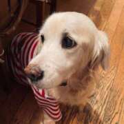 ヒメ日記 2026/01/18 01:32 投稿 ゆう ぷるるん小町日本橋店