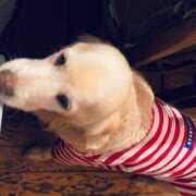 ヒメ日記 2026/01/18 06:00 投稿 ゆう ぷるるん小町日本橋店