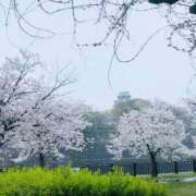 ヒメ日記 2026/04/05 10:25 投稿 ゆう ぷるるん小町日本橋店