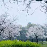 ヒメ日記 2026/04/05 10:37 投稿 ゆう ぷるるん小町日本橋店