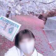 ヒメ日記 2026/04/12 08:18 投稿 ゆう ぷるるん小町日本橋店