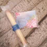 ヒメ日記 2026/03/23 15:53 投稿 うさ 池袋S級素人派遣型東京美少女物語