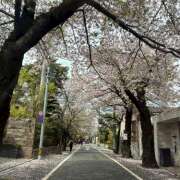 ヒメ日記 2026/04/07 19:38 投稿 えみ an_an（アンアン）