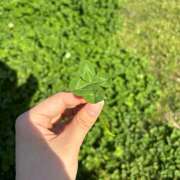 ヒメ日記 2026/04/12 21:30 投稿 えみ an_an（アンアン）