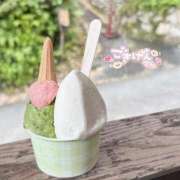 ヒメ日記 2026/02/23 03:20 投稿 みるき 風俗の神様　浜松店