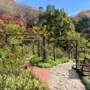 ヒメ日記 2025/09/13 10:33 投稿 さくら トマトなび