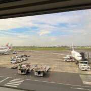 ヒメ日記 2025/09/20 09:59 投稿 さくら トマトなび