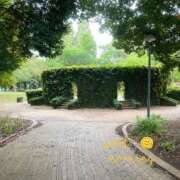 ヒメ日記 2025/10/13 08:04 投稿 さくら トマトなび