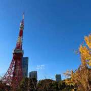 さくら 早すぎる トマトなび