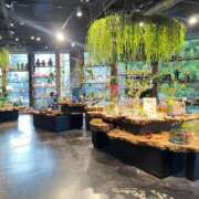 ヒメ日記 2025/08/04 12:16 投稿 コウ 綺麗なお姉様専門　町田リング4C（アンジェリークグループ）