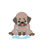 ヒメ日記 2025/10/01 22:51 投稿 コウ 綺麗なお姉様専門　町田リング4C（アンジェリークグループ）