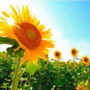 ヒメ日記 2025/07/20 10:41 投稿 ゆう 尼妻（あまづま）