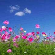 ヒメ日記 2025/08/31 10:30 投稿 ゆう 尼妻（あまづま）