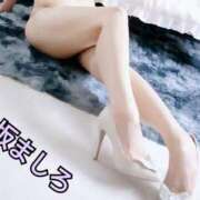 ヒメ日記 2025/08/20 01:41 投稿 香坂　ましろ エテルナ京都