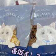 ヒメ日記 2026/02/14 15:25 投稿 香坂　ましろ エテルナ京都