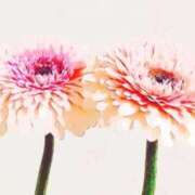 ヒメ日記 2026/03/23 00:24 投稿 ゆりあ 熟女の風俗最終章 仙台店