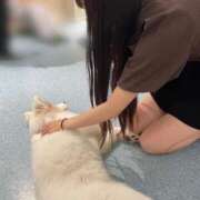 ヒメ日記 2025/09/14 17:58 投稿 まい 東京アロマスタイル