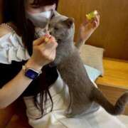 ヒメ日記 2025/09/20 16:28 投稿 まい 東京アロマスタイル