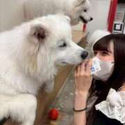 ヒメ日記 2025/09/28 16:58 投稿 まい 東京アロマスタイル