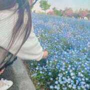 ヒメ日記 2026/04/03 11:08 投稿 まい 東京アロマスタイル